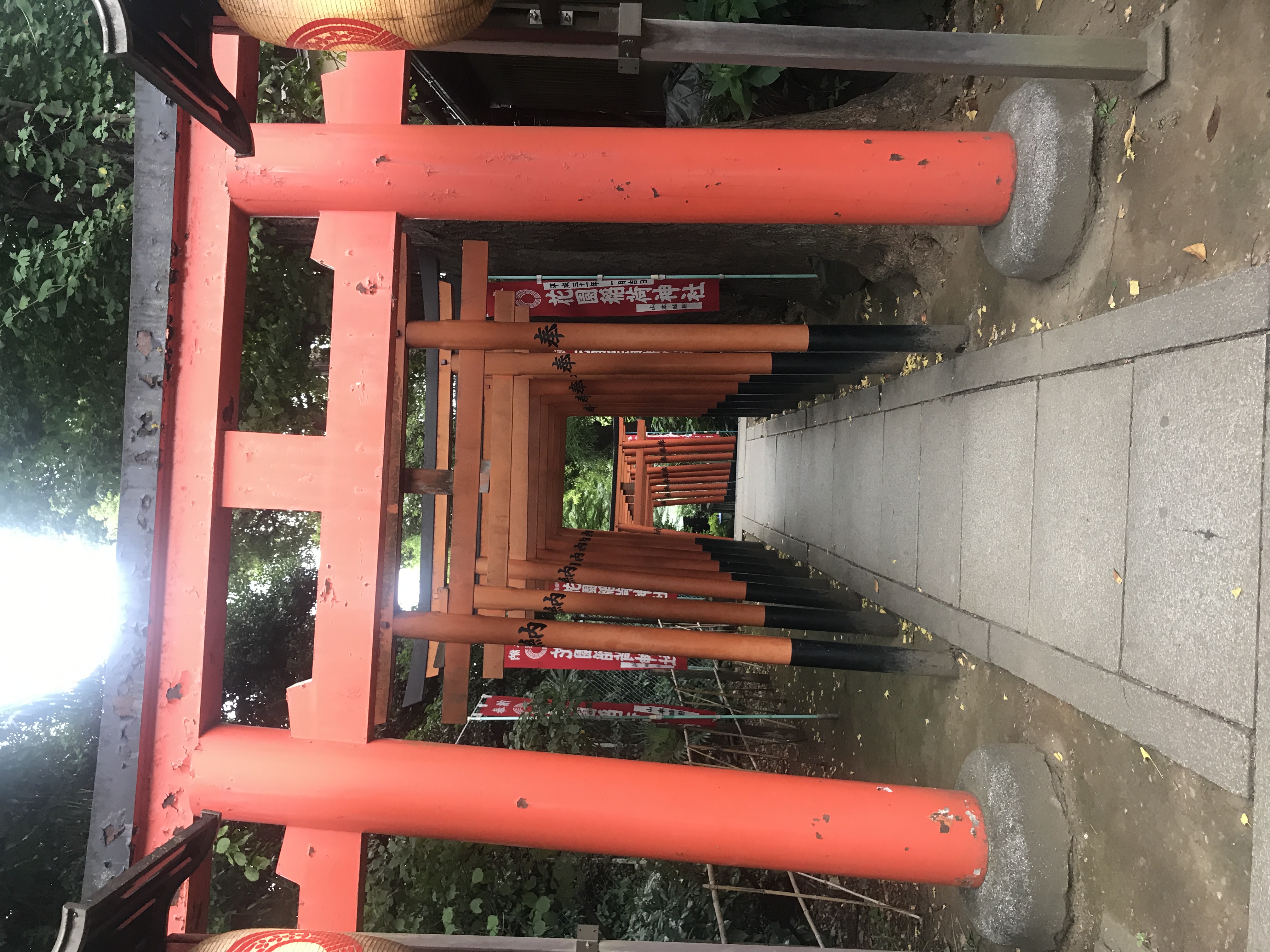 Image of No Idea of What